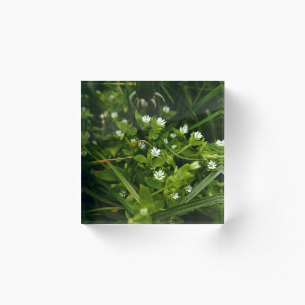 Acrylic Block