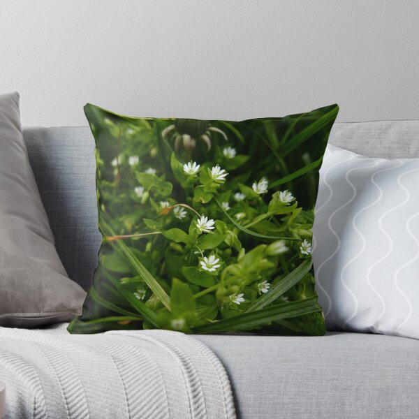Throw Pillow