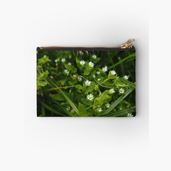Aperçu de l'œuvre Stellaire (stellaria media) créée et vendue par IOMWildFlowers.