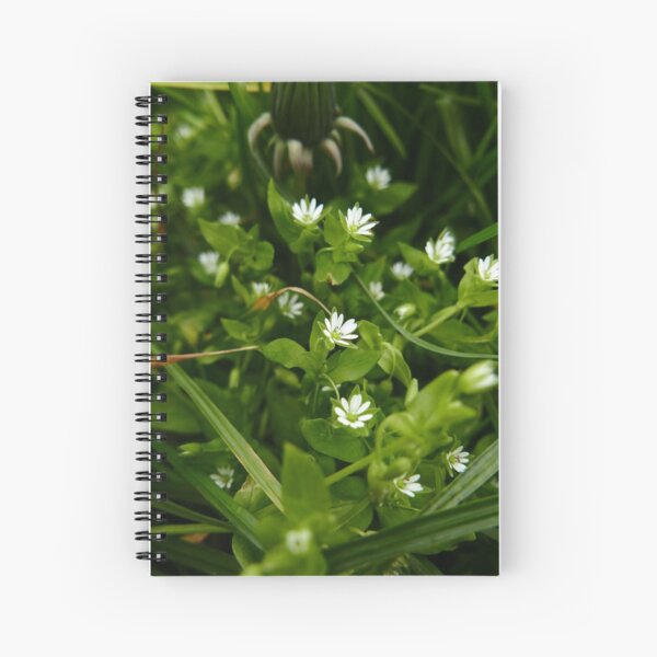 Spiral Notebook