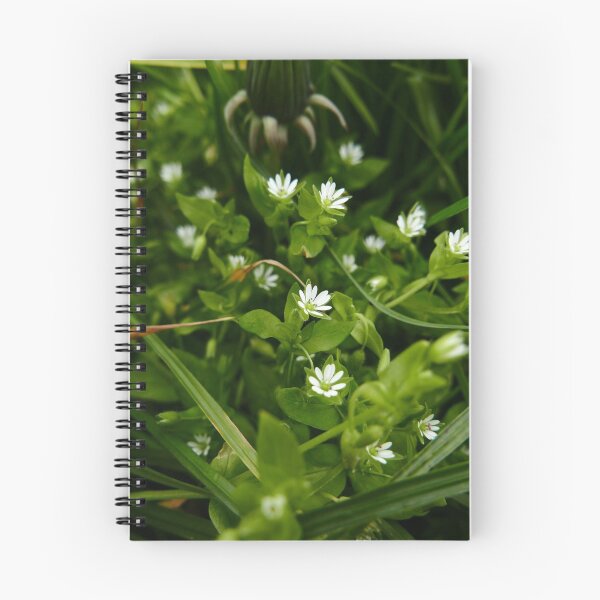 Item preview, Common Chickweed (Stellaria media) designed and sold by IOMWildFlowers.