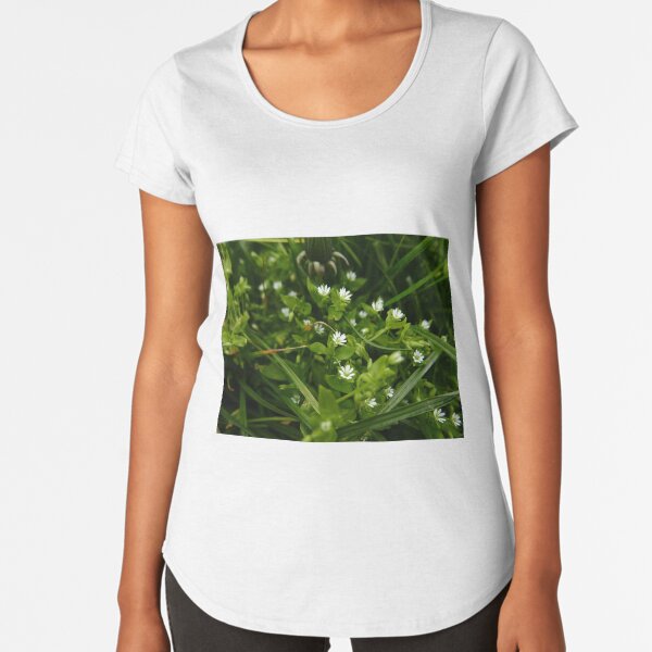 Premium Scoop T-Shirt