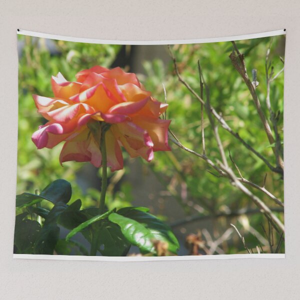 Item preview, Light and shade designed and sold by MChabalaRussell.