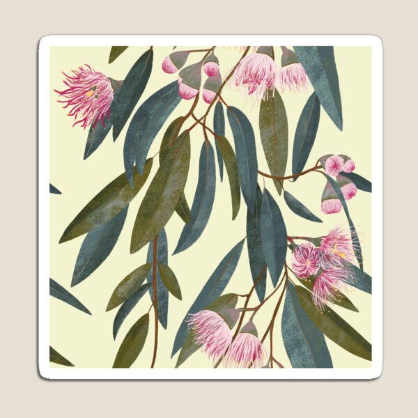 Pink Australian eucalyptus Magnet