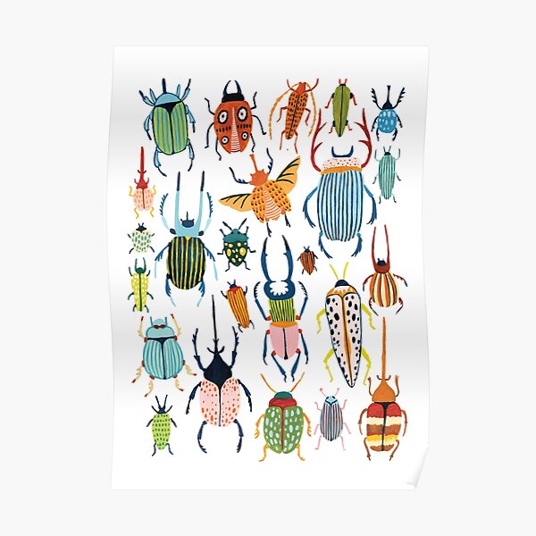Woodland Beetles Poster