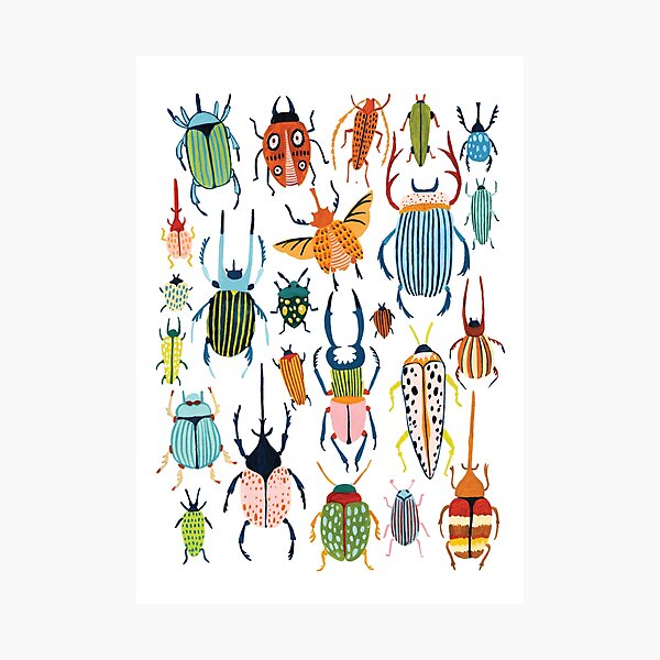 Woodland Beetles Photographic Print