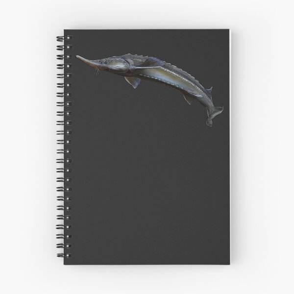 Item preview, Sturgeon sterlet 2 designed and sold by InkFish Art.