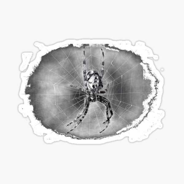 Spinne Sticker