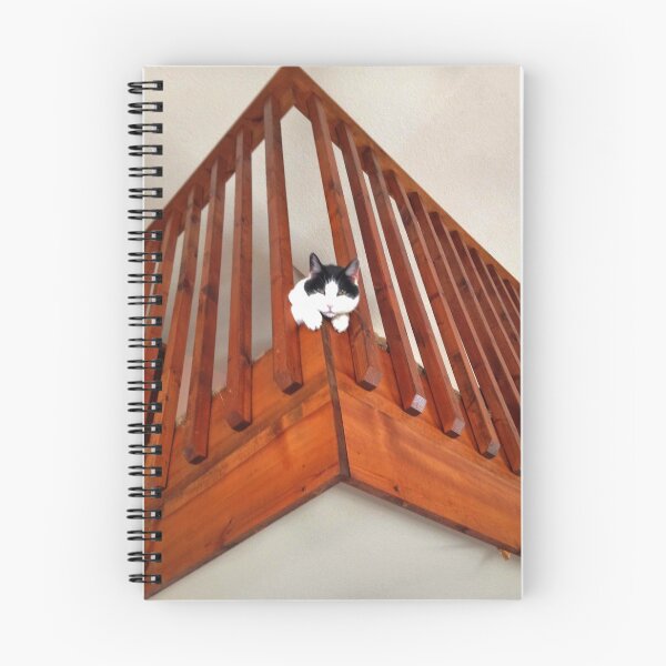 Item preview, The Observer designed and sold by Claude Johnson.