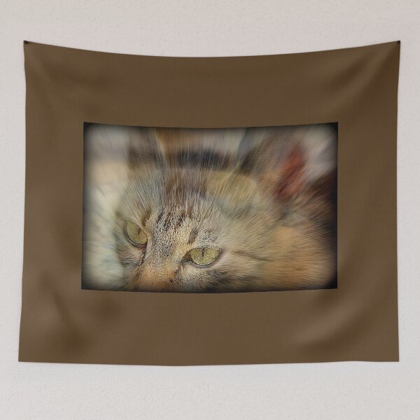 Item preview, Close-up of Tabby Cat - Photography by BranaghBel designed and sold by branaghbel.