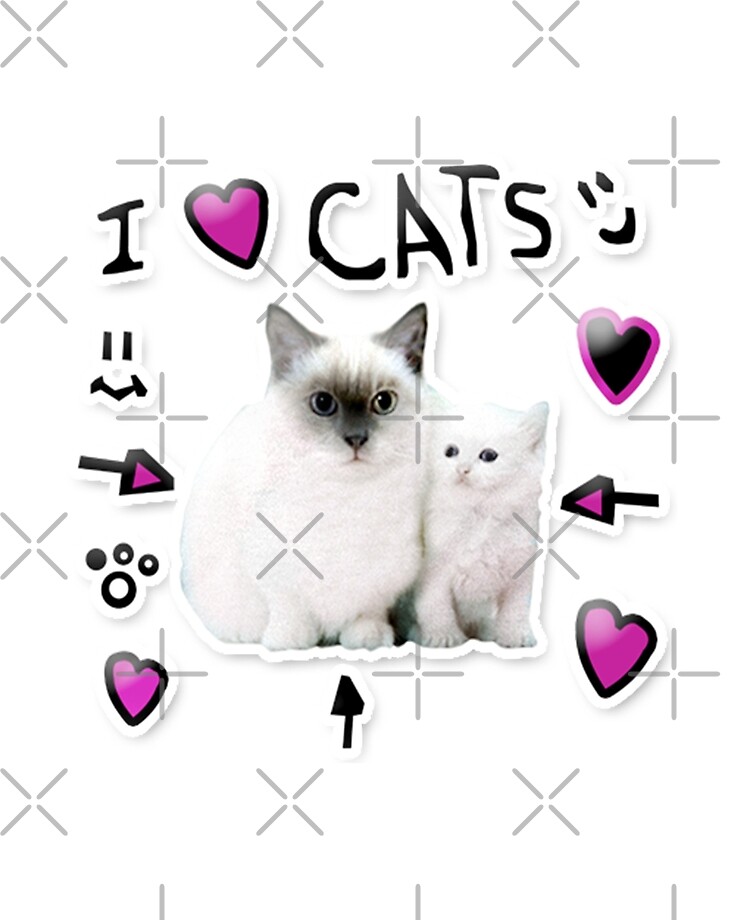 Denis Daily I Love Cats Ipad Case Skin By Thatbeardguy Redbubble - i love cats shirt roblox