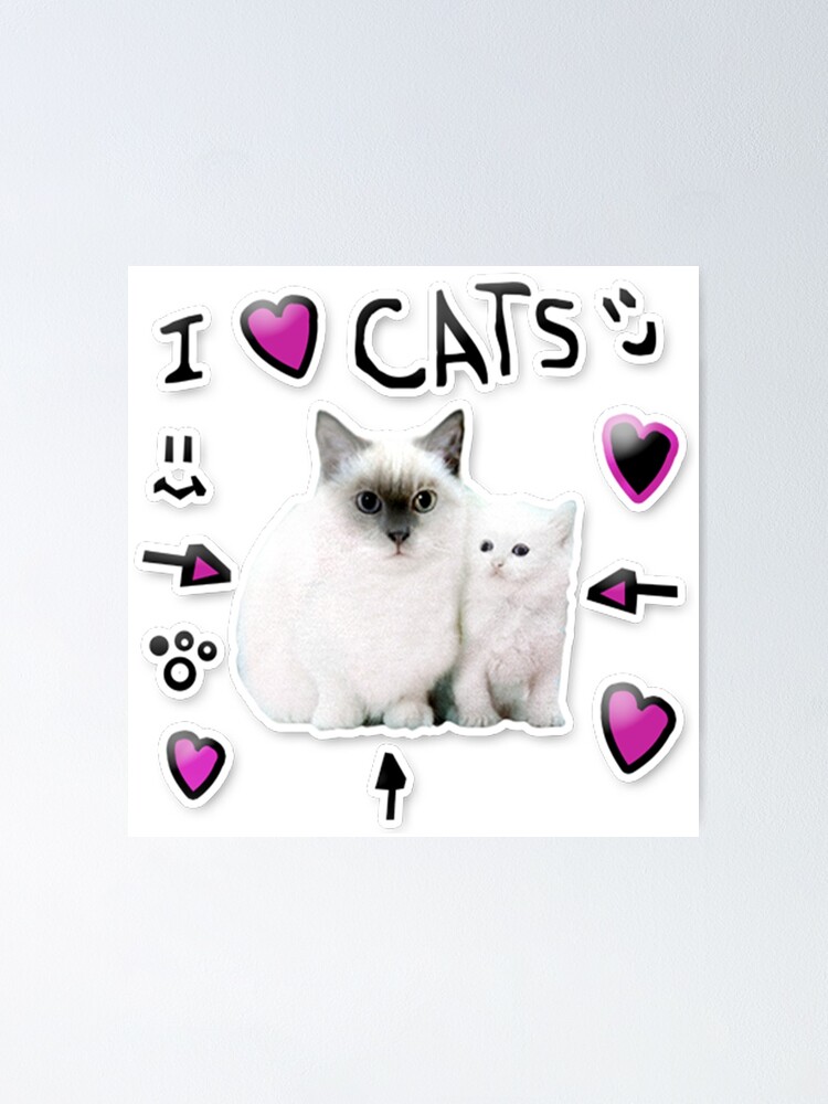 Denis Daily I Love Cats Poster By Thatbeardguy Redbubble - cat clothes roblox