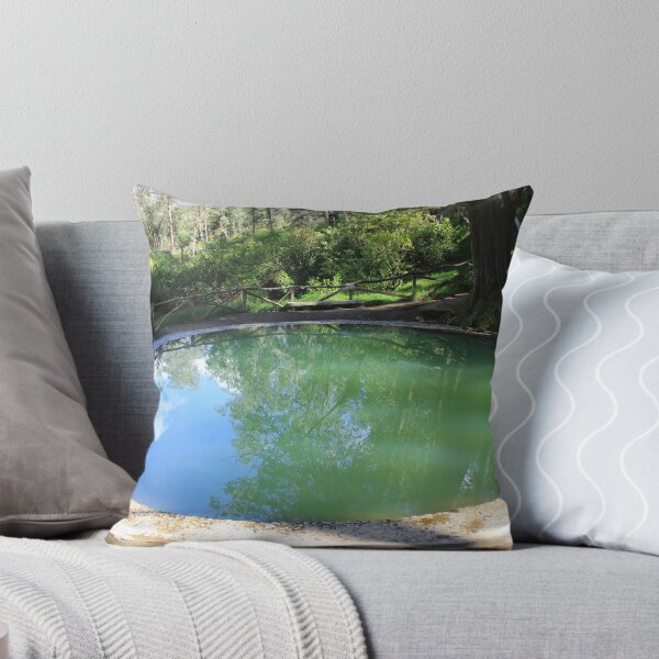 Item preview, Reflections in a Ritual Bathing Pool designed and sold by rhamm.