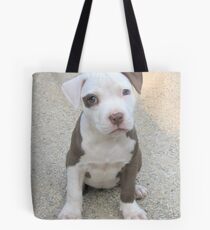 Cocamo at 8 weeks Tote Bag