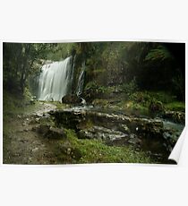 Guide Falls Ridgley Poster