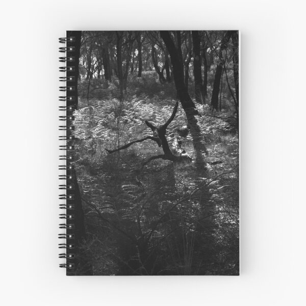 Item preview, Scary Trees- Honey Eater Track designed and sold by Ben Loveday.