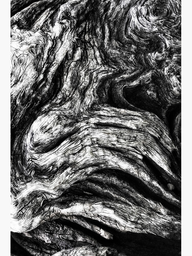 Driftwood Texture by fardad
