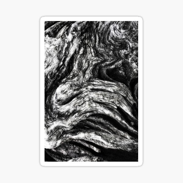 Driftwood Texture Sticker