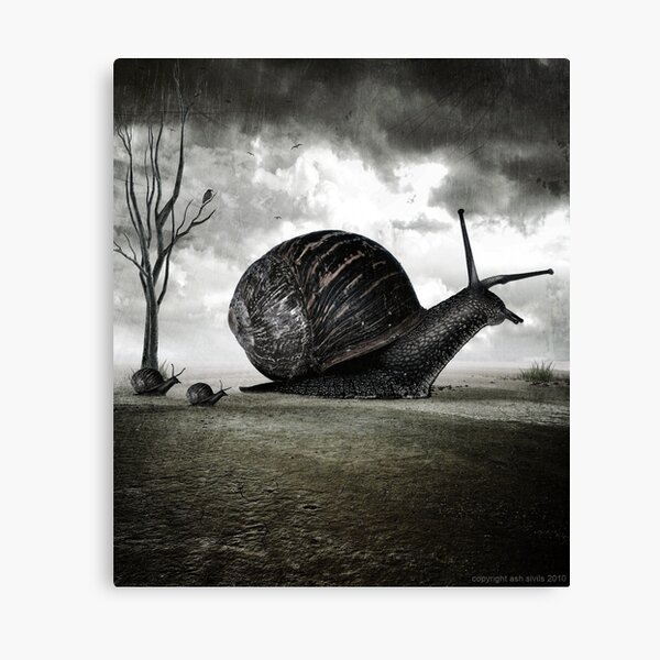 Snail Trail Canvas Print