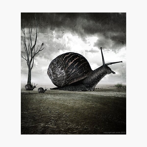 Snail Trail Photographic Print