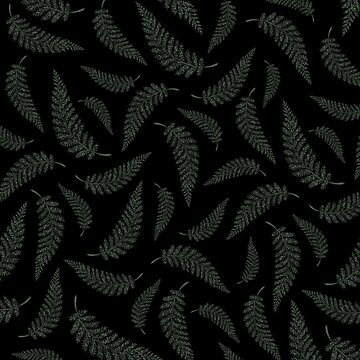 Artwork thumbnail, Fern Witch by Brett Manning