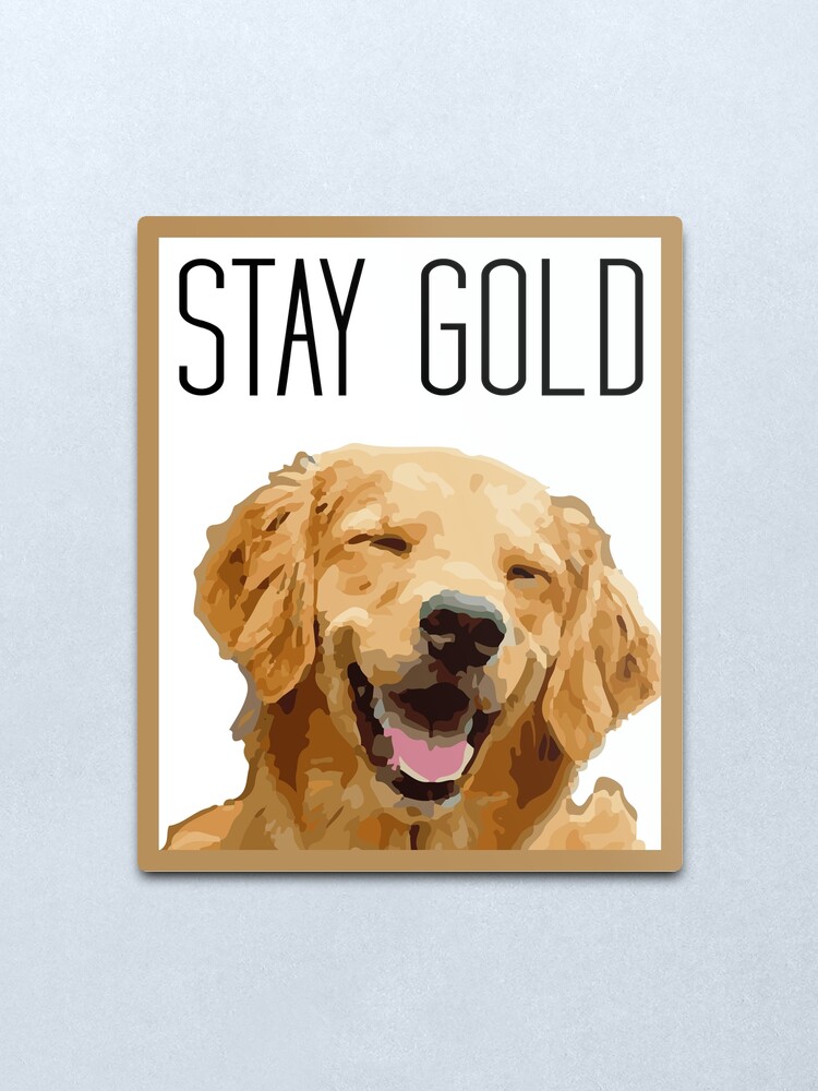 Bleib Gold Golden Retriever Metallbild Von Kalongraphics Redbubble