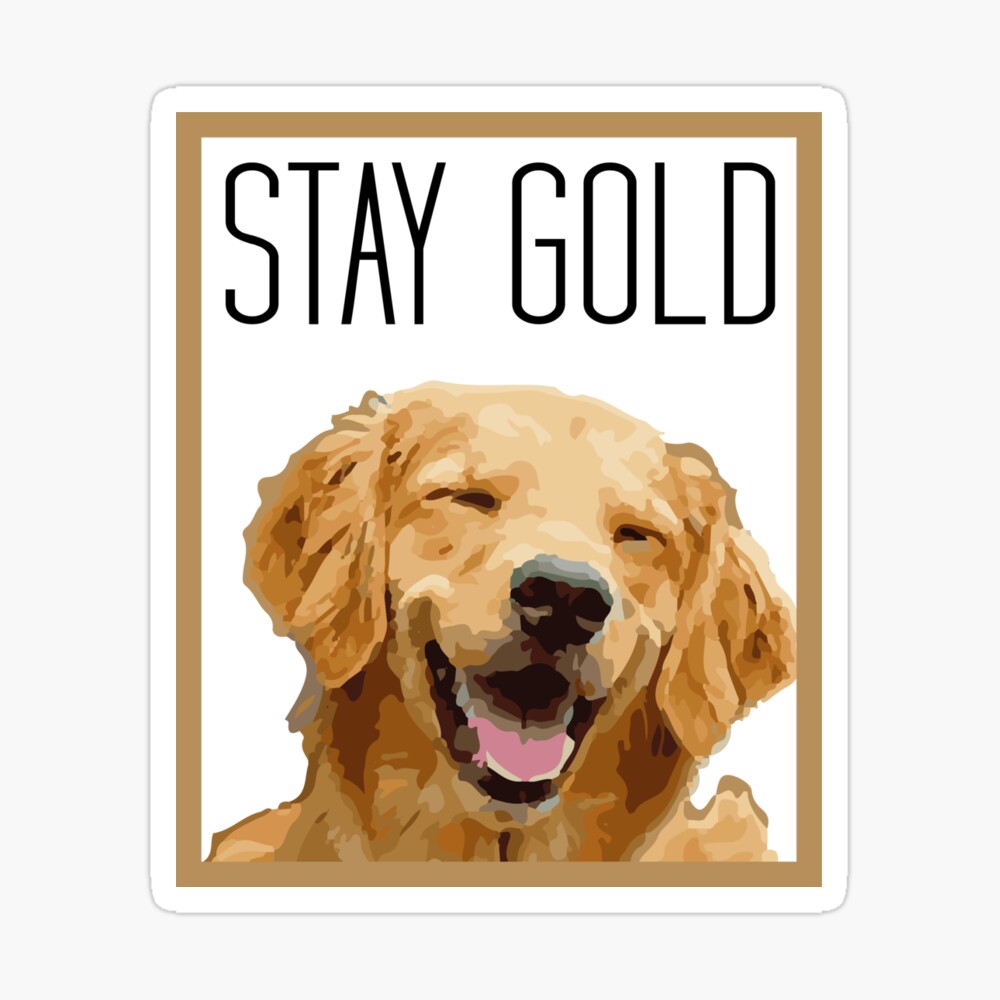 Stay Gold Golden Retriever Metal Print By Kalongraphics Redbubble