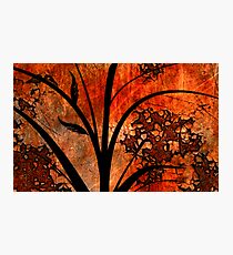 Oil Spill Photographic Print
