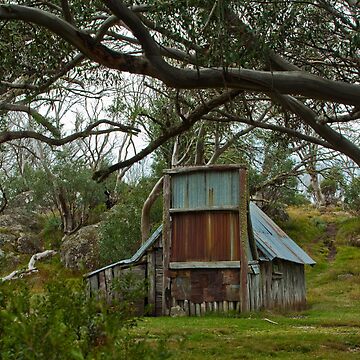 Artwork thumbnail, Mountain Hut - NE Victoria by David Woolcock