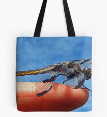 Where are the Mosquitoes? Tote Bag