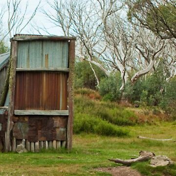 Artwork thumbnail, The Wallace Hut by David Woolcock