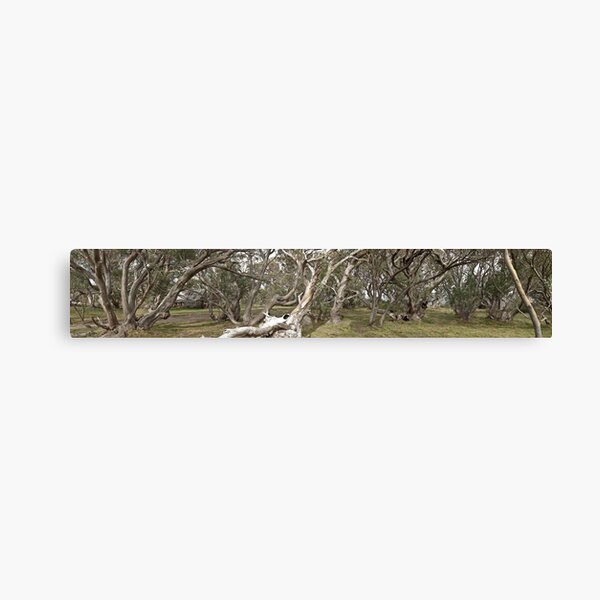 Item preview, The Wallace Hut Panorama NE Victoria Australia designed and sold by David Woolcock.