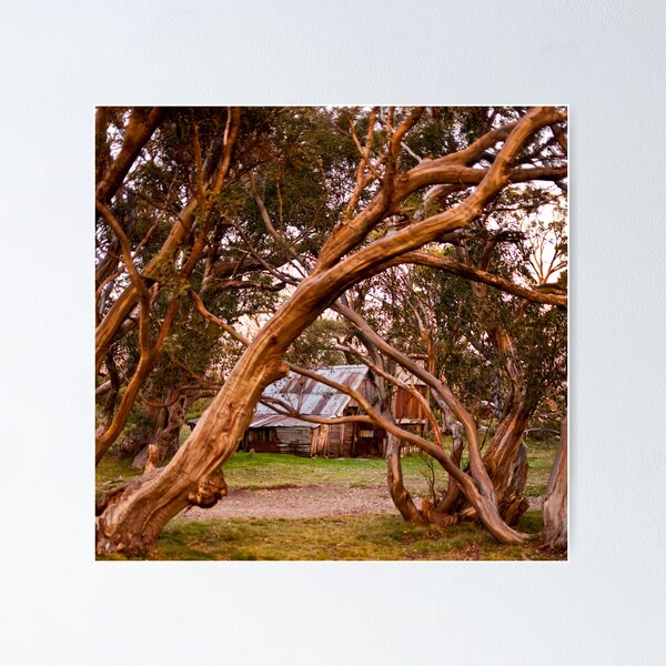 Item preview, Sunset on the Wallace Hut designed and sold by David Woolcock.