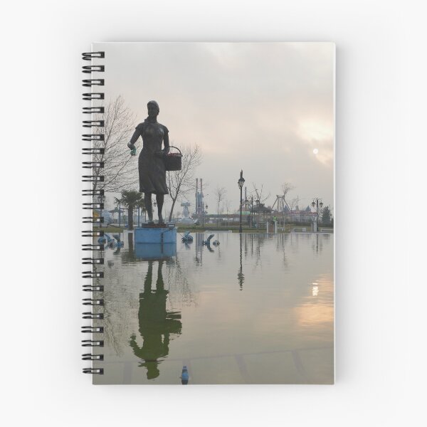 Item preview, Statue and Reflection designed and sold by ReplyGirl.