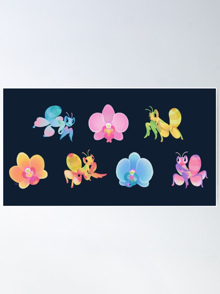 Alternate view of Orchid mantis - dark Poster