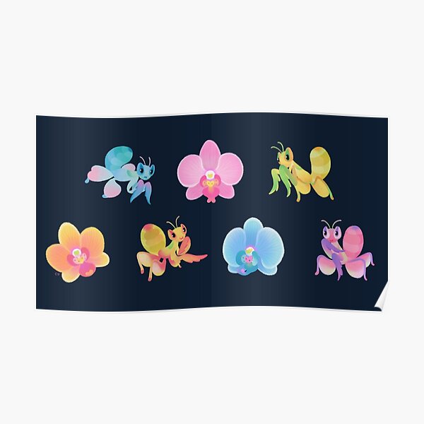 Orchid mantis - dark Poster