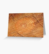Forest Floor... Greeting Card