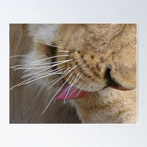 Item preview, clean up, close up designed and sold by Linda Sparks.