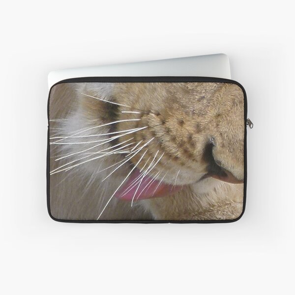 Item preview, clean up, close up designed and sold by Linda Sparks.