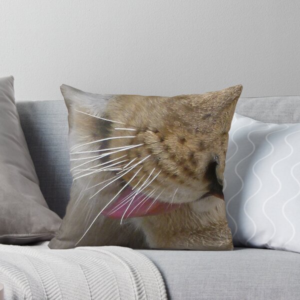 Item preview, clean up, close up designed and sold by Linda Sparks.