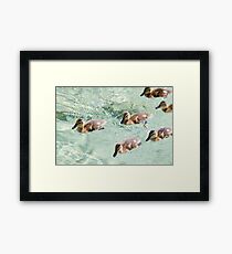 Rat Pack Framed Print