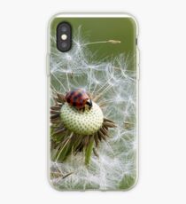 Coccinelle sur pissenlit iPhone Case