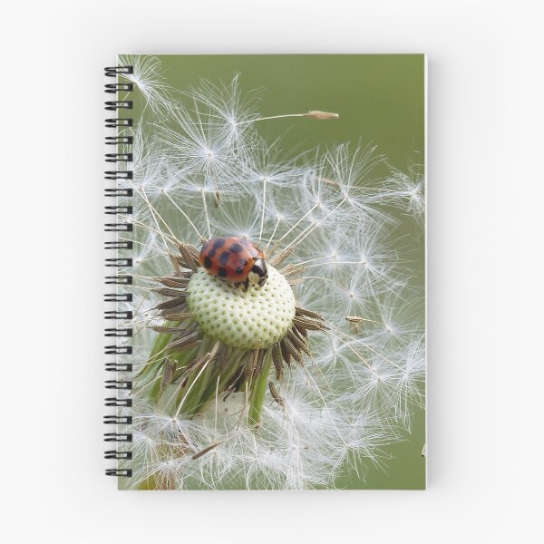 Artikelvorschau, Coccinelle sur pissenlit entworfen und verkauft von Sylvie Villeneuve.