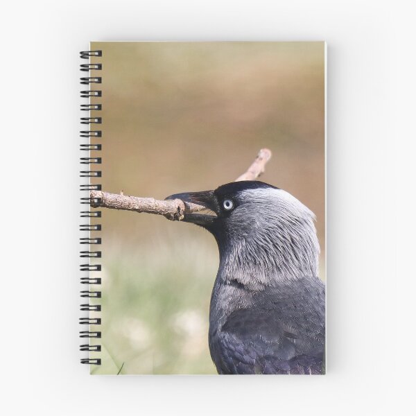 Item preview, Nesting jackdaw designed and sold by GreyFeatherPhot.