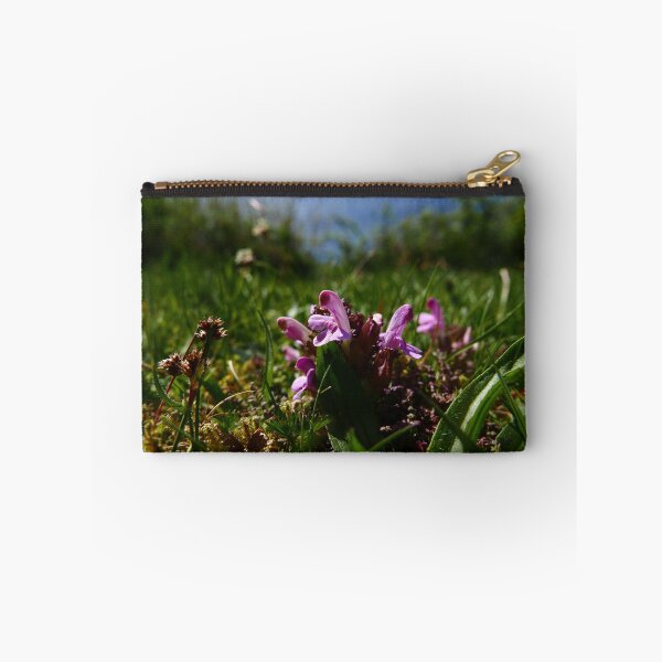Item preview, Common Lousewort (Pedicularis sylvatica) designed and sold by IOMWildFlowers.