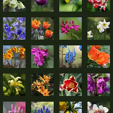 Artwork thumbnail, Spring Flower Collection by cuprum