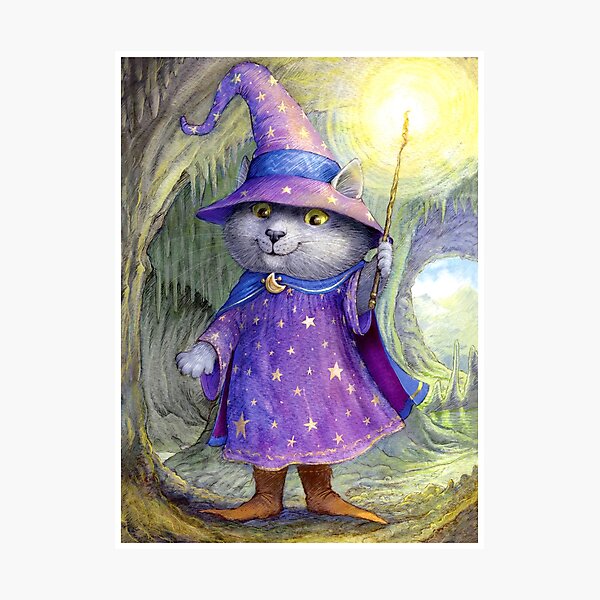 Purlin the Grey - wizard cat Photographic Print