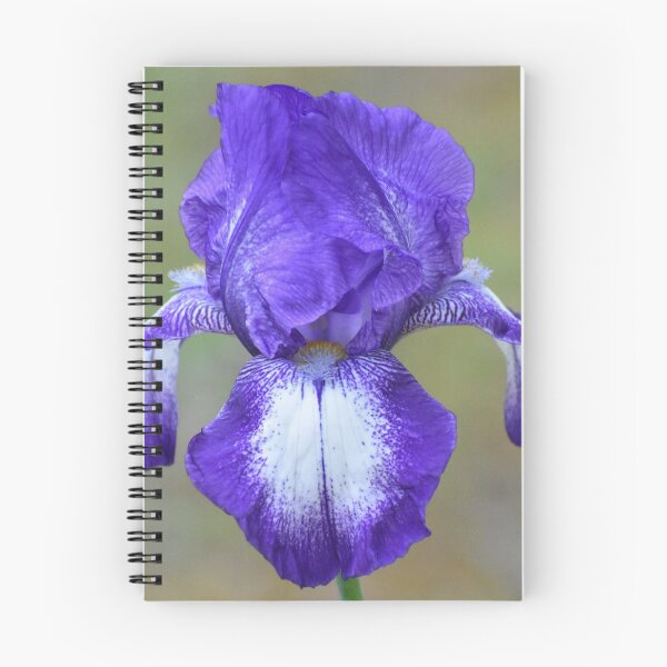 Item preview, Fully bloomed designed and sold by Tonia Delozier's Photography .