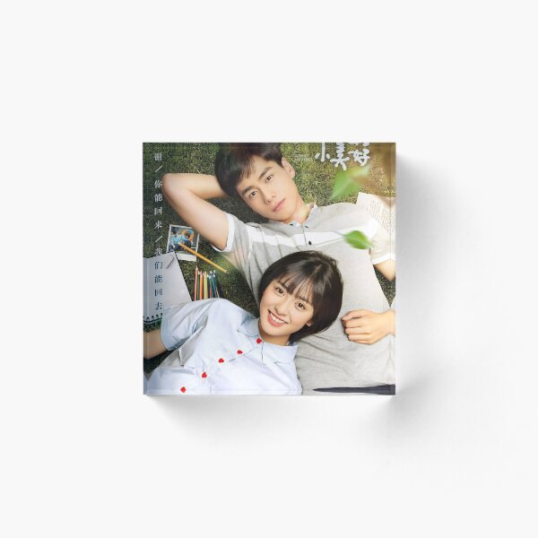 A Love So Beautiful Poster Acrylic Block