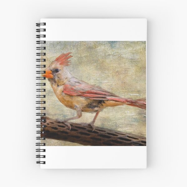 Item preview, Female Cardinal designed and sold by Barbara Manis.